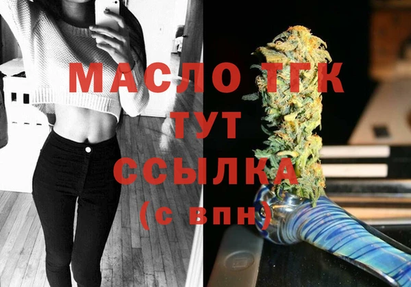 индика Вязники