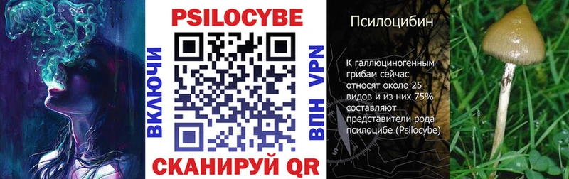 Псилоцибиновые грибы Magic Shrooms  Багратионовск 